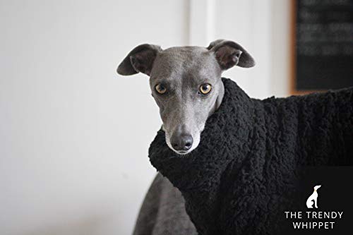 Pijama de forro polar suave y esponjoso negro galgo italiano, Whippet, Lurcher, Greyhound, Saluki Sighthound (pequeño)