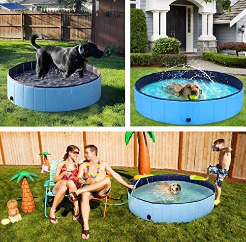 Piscina para perros y gatos, plegable, con PVC antideslizante, resistente al desgaste, para niños, perros y gatos, como regalo (diámetro: 120 x 30 cm)