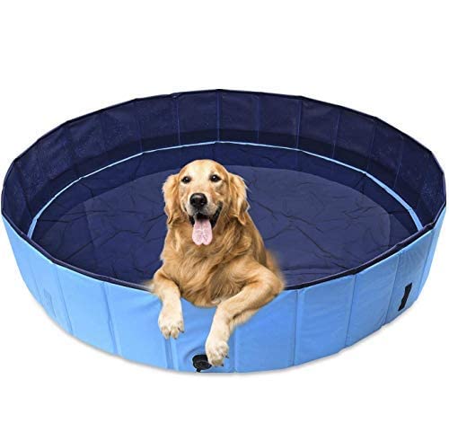 Piscina para perros y gatos, plegable, con PVC antideslizante, resistente al desgaste, para niños, perros y gatos, como regalo (diámetro: 120 x 30 cm)