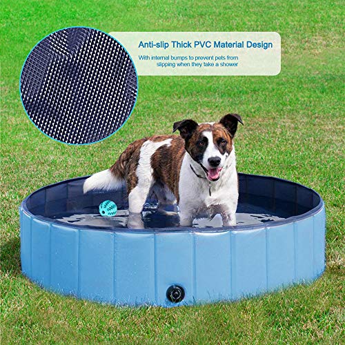 Piscina Perros Grande,Plegable Piscina para Perros Niños Antideslizante PVC Bañera para Perros, Regalo con Pelota para Perros(M-120*30cm)