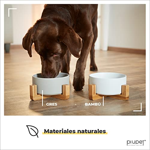 PiuPet® Comedero Perro y Comedero Gato - 2 x 850 ml - En un Elegante Soporte de bambú - También Adecuado para Perros Grandes/Grandes felinos