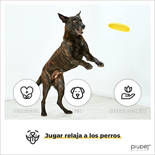 PiuPet® Frisbees - Juguetes de 2 frisbees para Perros - Disco Frisbee para Perros - Cosas para Perros - Perro Juguete