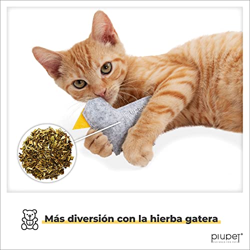 PiuPet® Juguetes para Gatos con Catnip (Juego de 4) - Juguetes Gatos Elegante - Lleno de Hierba gatera