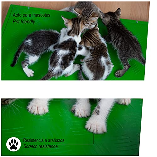 Placa de Calefacción 40x35 cm Bajo Consumo para Perros, Gatos, Mascotas - Calefactor para Invernadero, Reptiles, Germinación - Uso Doméstico y Profesional (48W)