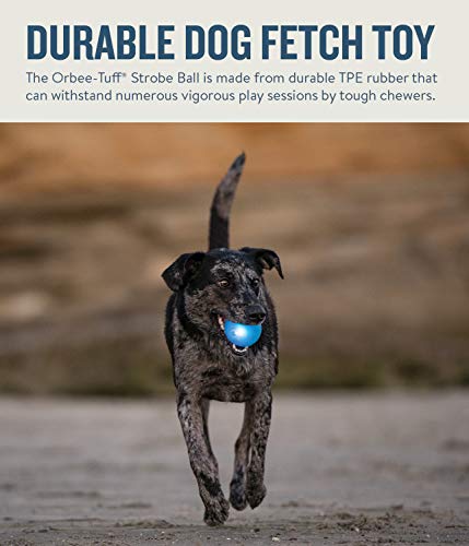 Planet Dog Orbee-Tuff Strobe - Pelota para perros - Con LED - Azul