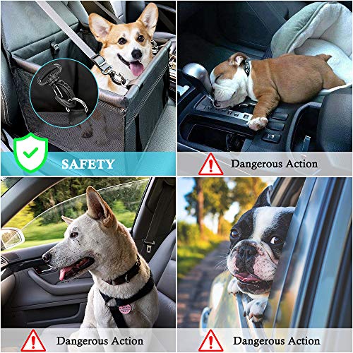 Plartree Asiento del Coche para Mascotas,con Cinturón de Seguridad Asiento para Mascotas Plegable,Lavable e Impermeable,Adecuado para Asientos de Automóvil para Mascotas Pequeñas y Medianas