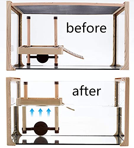 Plataforma Flotante para Tomar el Sol de Tortugas Holzsammlung, Muelles, Rampas, Areas para Tomar el Sol para Reptiles Turle, Plataforma para Acuarios con Peceras, Terraza para Descansar Tortugas.A-S