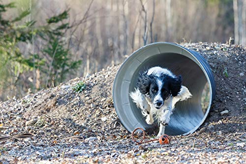 PlayfulSpirit Pelota de Goma con Cuerda – Juguete para Perros – Pelota de adiestramiento para Perros - Juguete de Tamaño Medio para Jugar a la Captura, la Cogida, para Lanzar y Halar