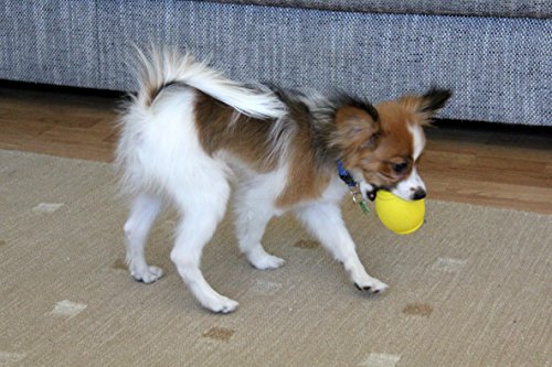 PlayfulSpirit Pelota de Rugby de Recompensas para Cachorros y Perros: Dispensador de Comida, Increíble Destructor del Aburrimiento de Mascota y Divertido Juguete de Entrenamiento Básico para Cachorros