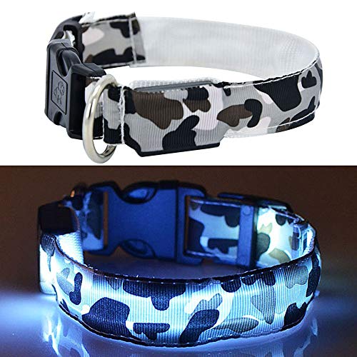 PMWLKJ Collar de Perro Luminoso LED Productos para Mascotas Camuflaje de Seguridad Elegante Brillo Intermitente Accesorios para Mascotas Collar XL Blanco