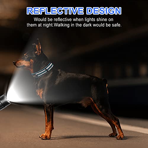 Podazz Collar de perro de nailon reflectante, ajustable con hebilla de seguridad, rayas reflectantes de visión nocturna, adecuado para perros pequeños y medianos (azul, L)