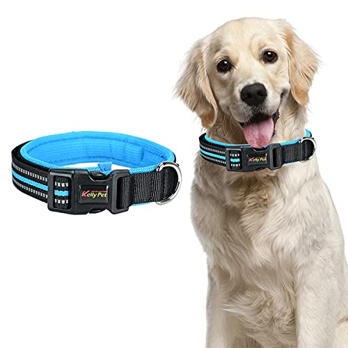 Podazz Collar de perro de nailon reflectante, ajustable con hebilla de seguridad, rayas reflectantes de visión nocturna, adecuado para perros pequeños y medianos (azul, L)