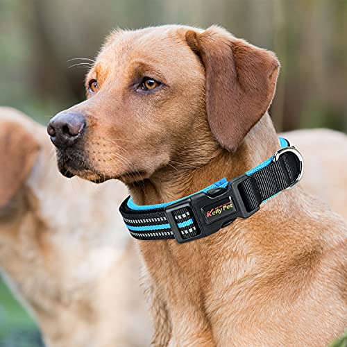 Podazz Collar de perro de nailon reflectante, ajustable con hebilla de seguridad, rayas reflectantes de visión nocturna, adecuado para perros pequeños y medianos (azul, L)