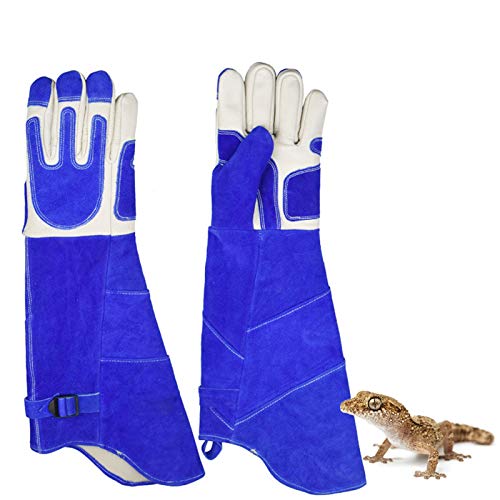 Pogona vitticeps Handling Guantes Anti-mordidas/rayones Guantes de protección para piensos para Perro Gato Pájaro Serpiente Loro Lagarto Salvaje (Size : L)