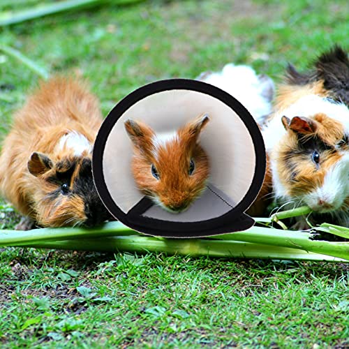 POPETPOP 2 Piezas Pequeño Mascota Hámster Recuperación Cuello Mini Elisabet Círculo Cuello Ajustable Cono para Pequeños Animales Conejos Conejitos Conejitos Hámster Erizo Pájaros