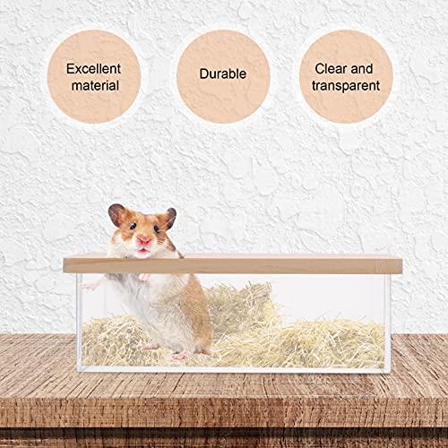 POPETPOP Caja de Baño de para Animales Pequeños Sala de Ducha para Mascotas Contenedor de para Excavación de Hámster con Tapa Bañera para Mascotas para Hámsters Ratones Jerbos