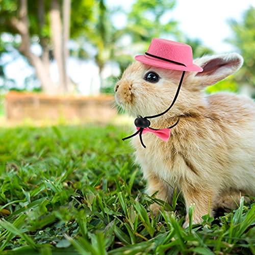 POPETPOP Disfraz de Hámster Y Corbatín Conjunto de Sombrero de Conejillo de Indias con Pajarita Gorra Fresca para Mascotas Disfraz de Animal Traje Cosplay para Ratas Chinchilla Hurón