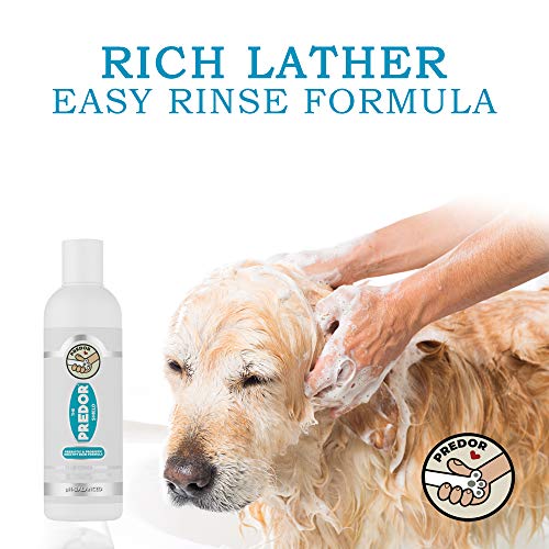 PREDOR Champú Natural para Perros con Piel Seca y Piel Sensible, un baño de Avena Natural para Perros, probióticos para Perros hidratan la Piel y limpian el Cabello, hipoalergénico, 250 ml