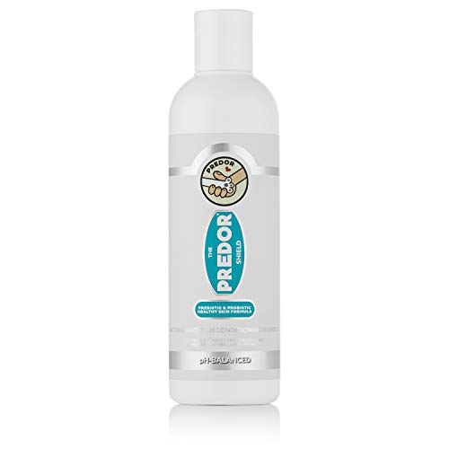 PREDOR Champú Natural para Perros con Piel Seca y Piel Sensible, un baño de Avena Natural para Perros, probióticos para Perros hidratan la Piel y limpian el Cabello, hipoalergénico, 250 ml