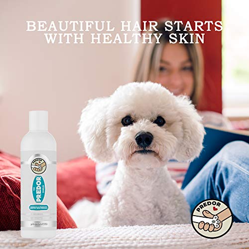 PREDOR Champú Natural para Perros con Piel Seca y Piel Sensible, un baño de Avena Natural para Perros, probióticos para Perros hidratan la Piel y limpian el Cabello, hipoalergénico, 250 ml