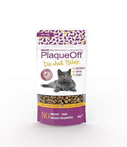 ProDenPlaqueOff PLAQUEOFF Dental CROQ Gato 60GR