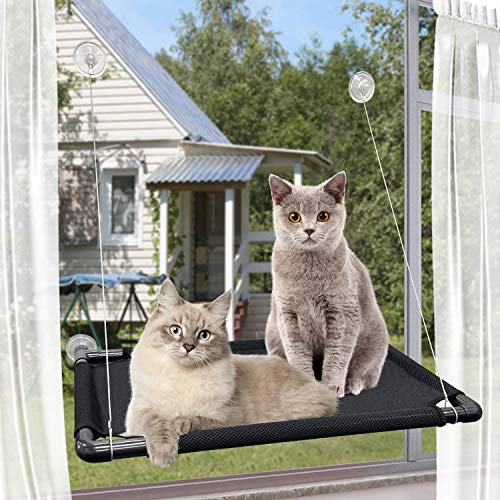 PTN Hamaca Gato, Cama Hamaca Cat Window Perch para Gatos Grandes Interior, Cama con Ventana para Gatos, Asiento Kitty Sunny, Cama con Asiento Percha para Mascotas Versión Mejorada 4 Ventosas Grandes