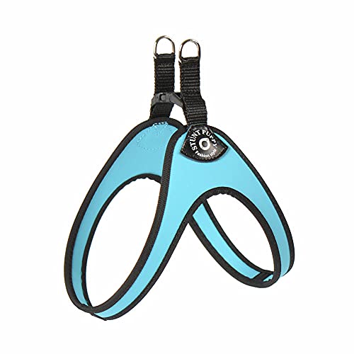 Puppy Liberty Buckle Arnés para Perros pequeños para Perros pequeños Chihuahua Shih Tzu Bulldog Boston Terrier Pit Bull Productos para Mascotas-Azure_Size1.5_ (3-4kg)