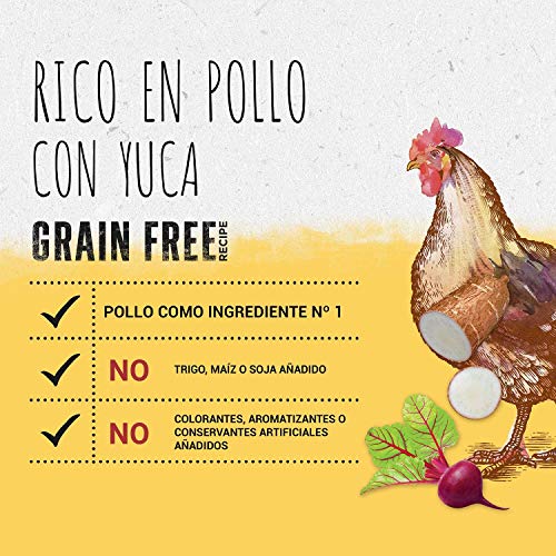 Purina Beyond Grain Free - Pienso Natural con Pollo para Gatos, 6 x 700 g