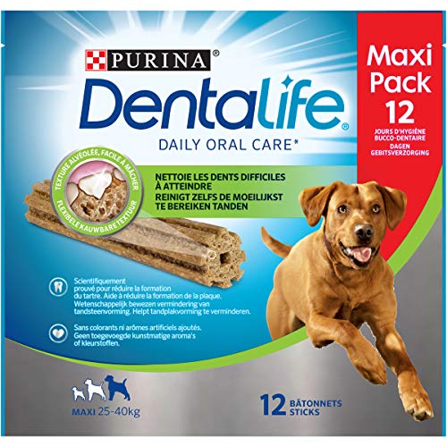 Purina DentaLife Maxi – Maxi Pack – Higiene Bucodental AU QUOTIDIEN – 426 G – 12 Varillas de mascar para Perros de Gran tamaño – Lote de 5