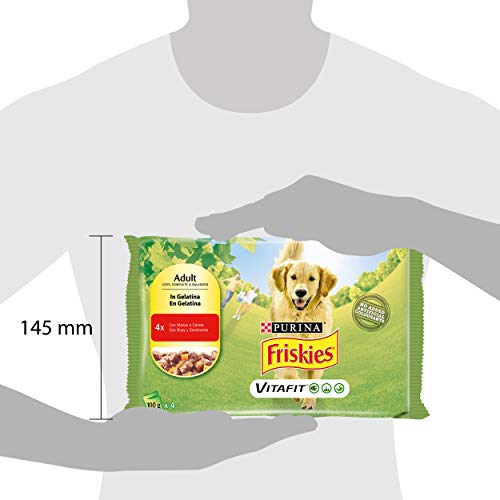 Purina Friskies Húmedo Perro Botes de gelatina con Carne y Zanahoria - 40 Sobres de 100 g Cada uno (10 Unidades de 4 x 100 g)