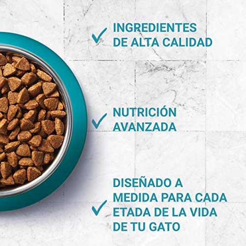 PURINA ONE Bifensis Pienso para Gatos Cuidado de Pelaje y Bolas de Pelo Pollo y Cereales 8 x 800 g