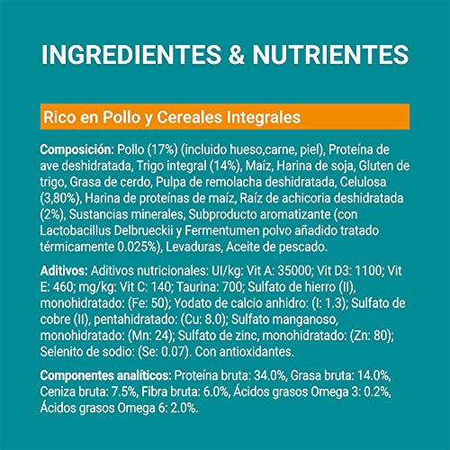 PURINA ONE Bifensis Pienso para Gatos Cuidado de Pelaje y Bolas de Pelo Pollo y Cereales 8 x 800 g