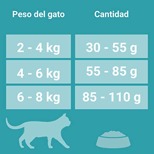 PURINA ONE Bifensis Pienso para Gatos Esterilizados Pollo y Trigo 6 x 1,5 Kg