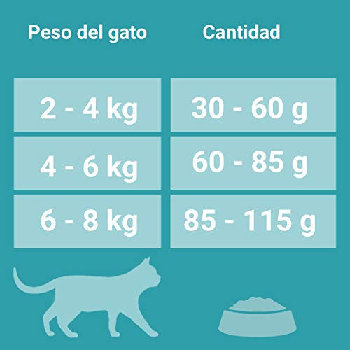 PURINA ONE Bifensis Pienso para Gatos Esterilizados Salmón y Trigo 8 x 800 g