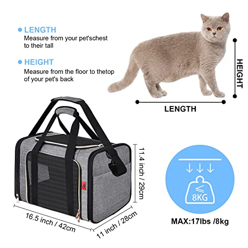 PUTUO Transportin para Gatos Perro: Bolsa Transporte Perro Pequeño Mascotas con Correa de Hombro Ajustable Plegable Transportín para Gatos Perros Conejo para Avion Carro Tren - hasta 8 kg (Gris)