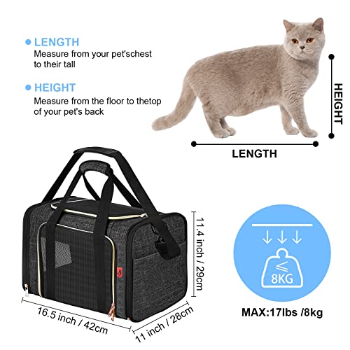 PUTUO Transportin para Gatos Perro: Bolsa Transporte Perro Pequeño Mascotas con Correa de Hombro Ajustable Plegable Transportín para Gatos Perros Conejo para Avion Carro Tren - hasta 8 kg (Negro)