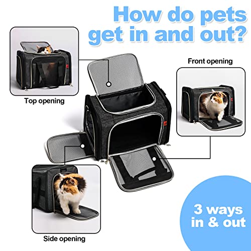 PUTUO Transportin para Gatos Perro: Bolsa Transporte Perro Pequeño Mascotas con Correa de Hombro Ajustable Plegable Transportín para Gatos Perros Conejo para Avion Carro Tren - hasta 8 kg (Negro)