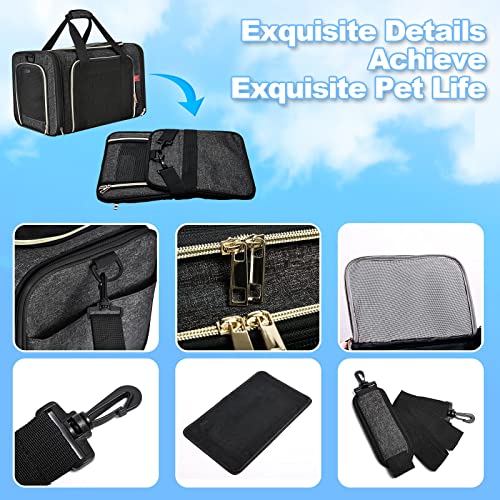 PUTUO Transportin para Gatos Perro: Bolsa Transporte Perro Pequeño Mascotas con Correa de Hombro Ajustable Plegable Transportín para Gatos Perros Conejo para Avion Carro Tren - hasta 8 kg (Negro)