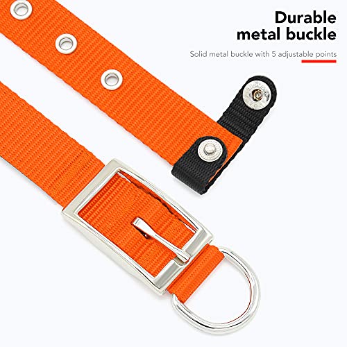 PZRLit Collar Perro Resistente con Suave Acolchado Neopreno, Hebilla de Metal y Anillo en D, Ajustable Transpirable Collares Perros Ancho para la Caminata Diaria Corriendo-Naranja,Pequeño