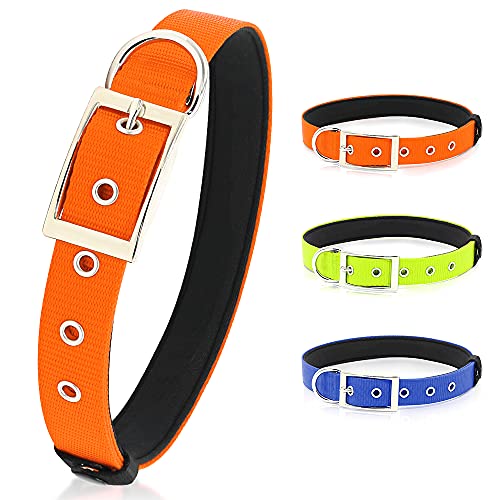 PZRLit Collar Perro Resistente con Suave Acolchado Neopreno, Hebilla de Metal y Anillo en D, Ajustable Transpirable Collares Perros Ancho para la Caminata Diaria Corriendo-Naranja,Pequeño