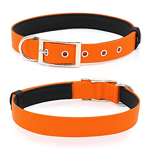 PZRLit Collar Perro Resistente con Suave Acolchado Neopreno, Hebilla de Metal y Anillo en D, Ajustable Transpirable Collares Perros Ancho para la Caminata Diaria Corriendo-Naranja,Medio