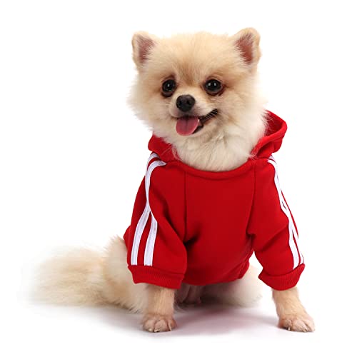 QiCheng&LYS Sueter Mascota, Jersey Perro Mediano,Sudadera Perro Ropa ParaCachorros, Sudadera para Chihuahua Cómodo Y Cálido (Rojo, Medium)