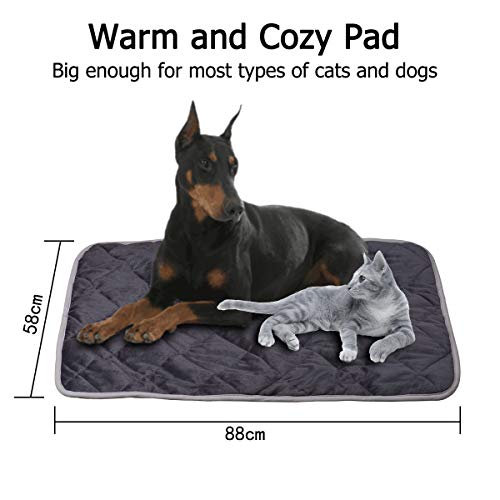 Queta Manta calefactable para Gatos y Perros,Almohadilla Térmica para Mascotas, Manta para Perros y Gatos autocalentable, 58 x 88 cm,Manta Térmica para Gatos y Perros