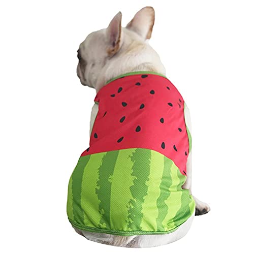 QUMocky Chaleco de refrigeración para mascotas, ligero, chaleco de enfriamiento para cachorro, camiseta sin mangas, ropa para mascotas para perros y refrigerantes para primavera y verano