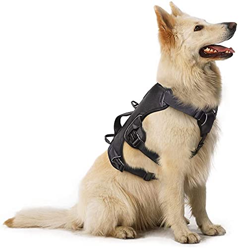 rabbitgoo Arnes Antitirones Perro Grande Mediano Ajustable con Manija de Espalda, Chaleco Acolchado Arnés para Perro Coche Lineas Reflecantes Paseo Fácil para Entrenamiento Tamaño XL Negro