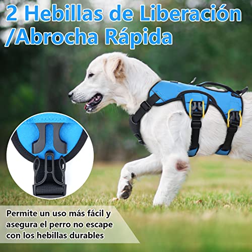 rabbitgoo Arnes Antitirones Perro Grande Mediano Ajustable con Manija de Espalda, Chaleco Acolchado Arnés para Perro Coche Lineas Reflecantes Paseo Fácil para Entrenamiento Tamaño XL Azul