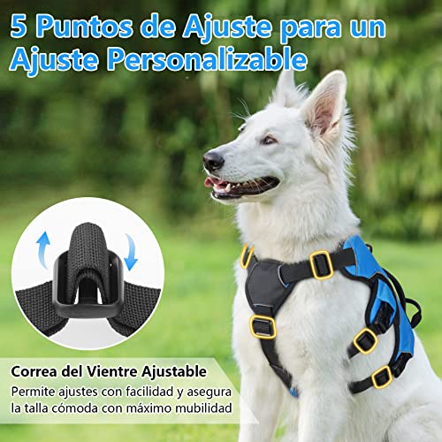 rabbitgoo Arnes Antitirones Perro Grande Mediano Ajustable con Manija de Espalda, Chaleco Acolchado Arnés para Perro Coche Lineas Reflecantes Paseo Fácil para Entrenamiento Tamaño XL Azul