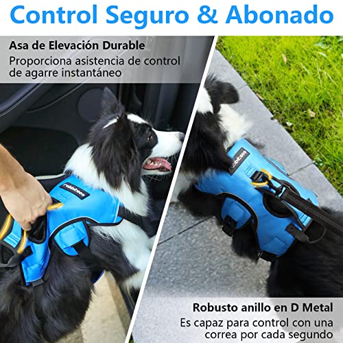 rabbitgoo Arnes Antitirones Perro Grande Mediano Ajustable con Manija de Espalda, Chaleco Acolchado Arnés para Perro Coche Lineas Reflecantes Paseo Fácil para Entrenamiento Tamaño XL Azul