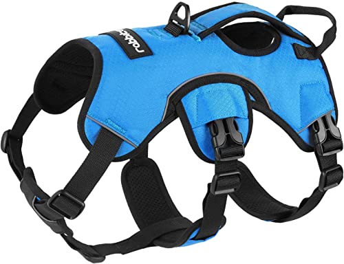 rabbitgoo Arnes Antitirones Perro Grande Mediano Ajustable con Manija de Espalda, Chaleco Acolchado Arnés para Perro Coche Lineas Reflecantes Paseo Fácil para Entrenamiento Tamaño XL Azul