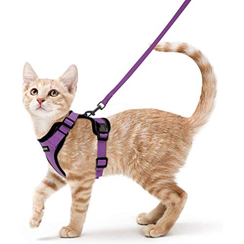 rabbitgoo Arnes Gato Antiescape,Arnés para Gato con Correa 150cm Arnes Gato Ajustable con Reflectantes de Tela de Malla Suave y Transpirable para Caminar,Entrenar,Gato Mediano y Pequeño S Púrpura